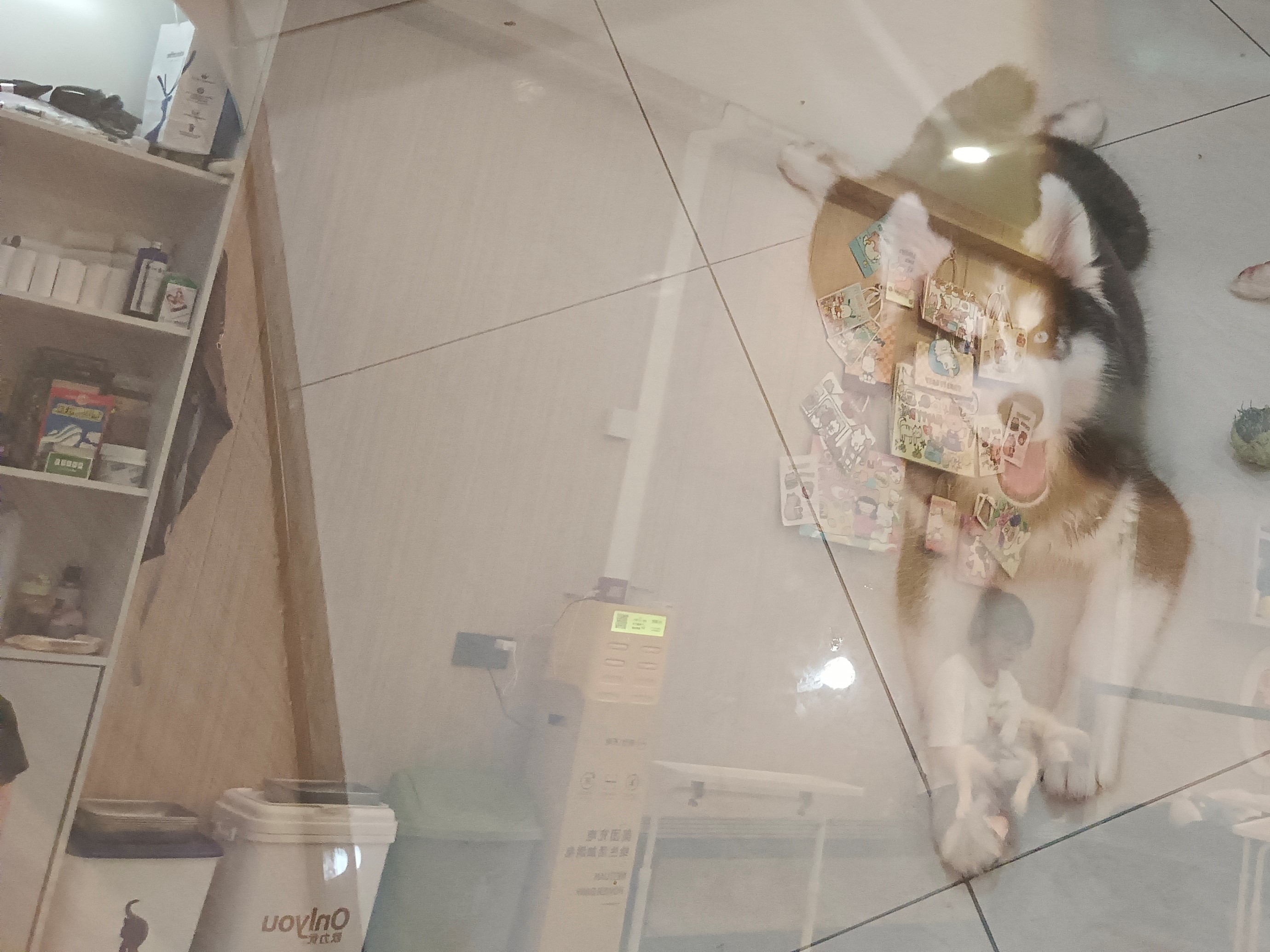 13,757 Images - Reflection Data